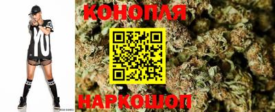 каннабис Будённовск