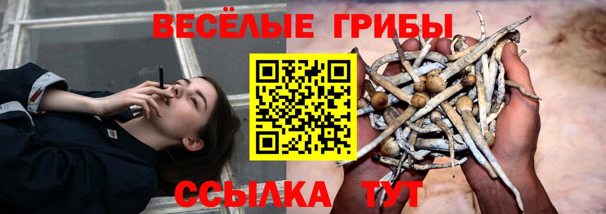 Галлюциногенные грибы прущие грибы Саратов