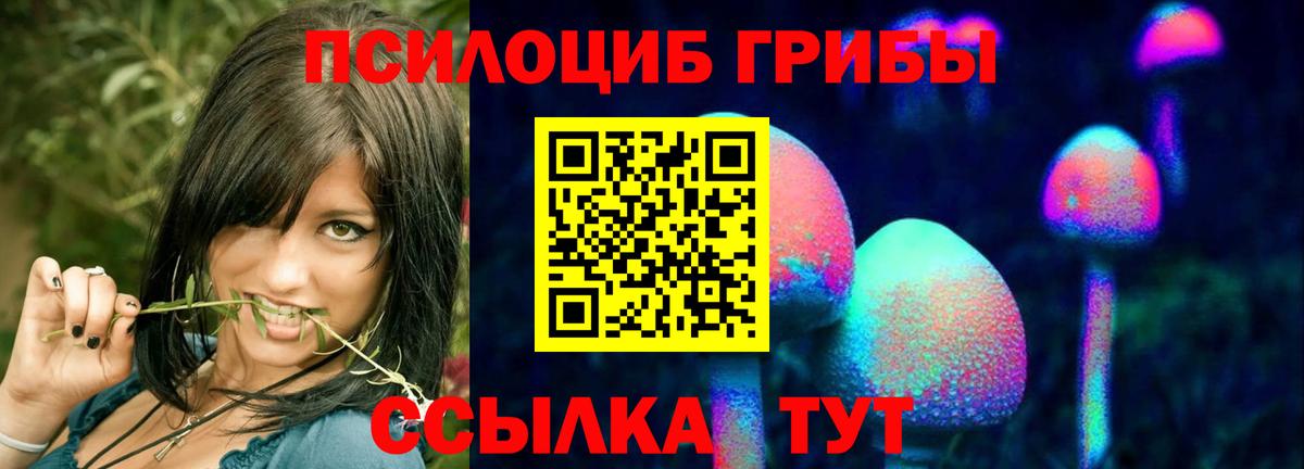 Саратов  Галлюциногенные грибы Magic Shrooms  Псилоцибиновые грибы MAGIC MUSHROOMS  Вход с VPN 